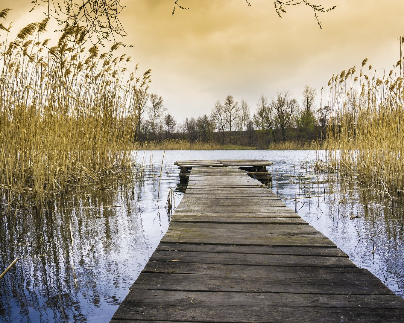 landscape-2239074_1920